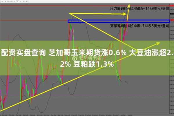 配资实盘查询 芝加哥玉米期货涨0.6% 大豆油涨超2.2% 豆粕跌1.3%