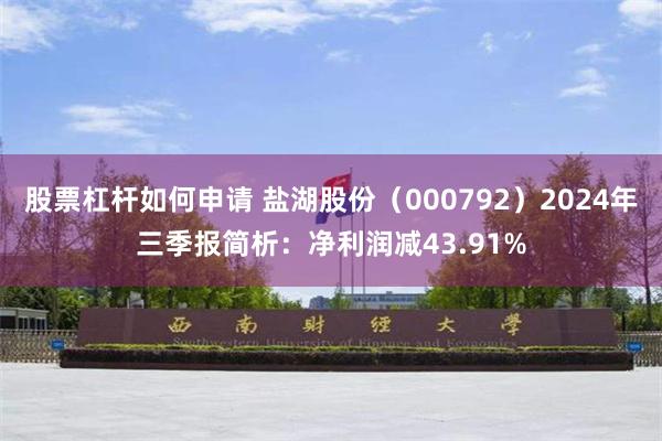 股票杠杆如何申请 盐湖股份（000792）2024年三季报简析：净利润减43.91%