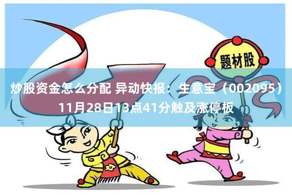 炒股资金怎么分配 异动快报：生意宝（002095）11月28日13点41分触及涨停板