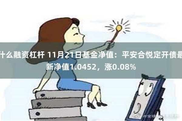 什么融资杠杆 11月21日基金净值：平安合悦定开债最新净值1.0452，涨0.08%